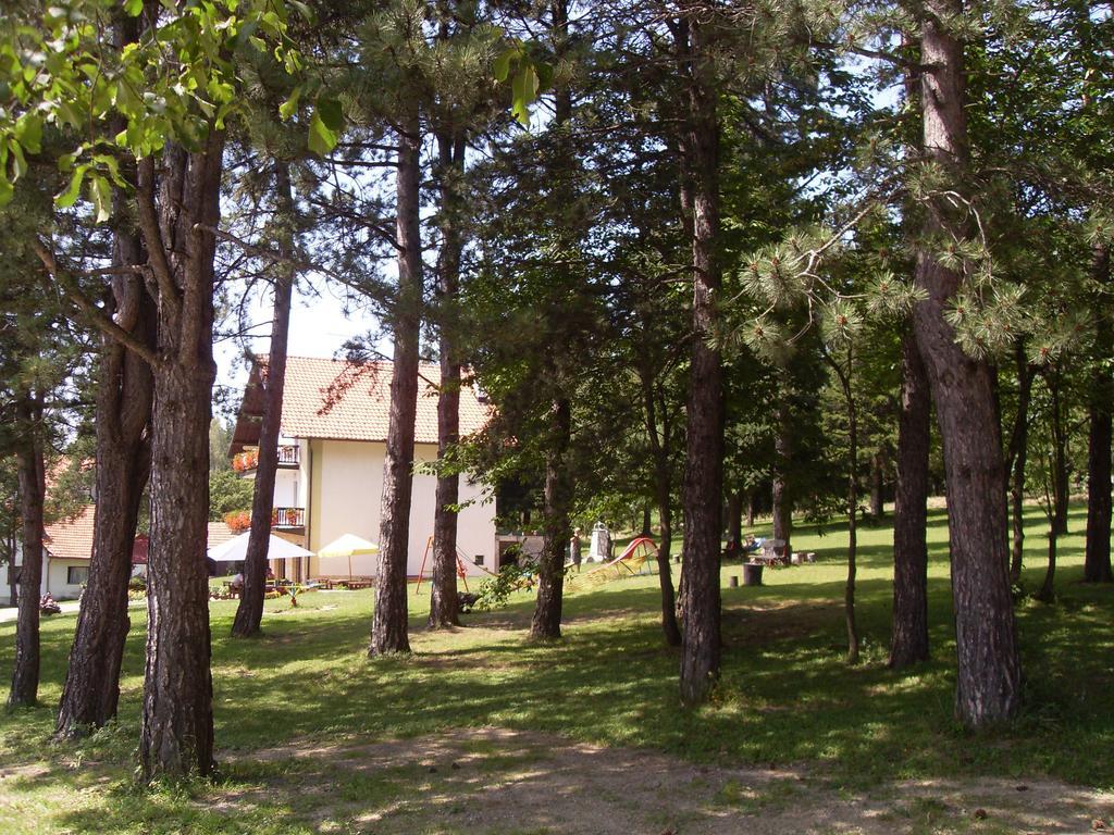 Guest House Colovic Ζλάτιμπορ Εξωτερικό φωτογραφία